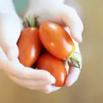 Går du med en madblogger i maven? Her er 7 tips at komme godt i gang