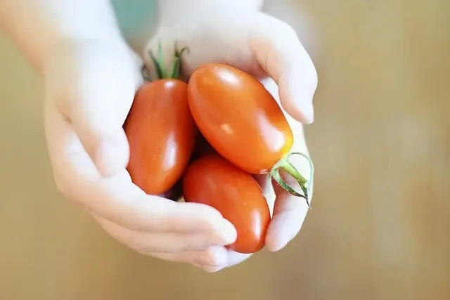 Går du med en madblogger i maven? Her er 7 tips at komme godt i gang